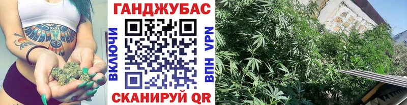 Бошки марихуана планчик  Пустошка 
